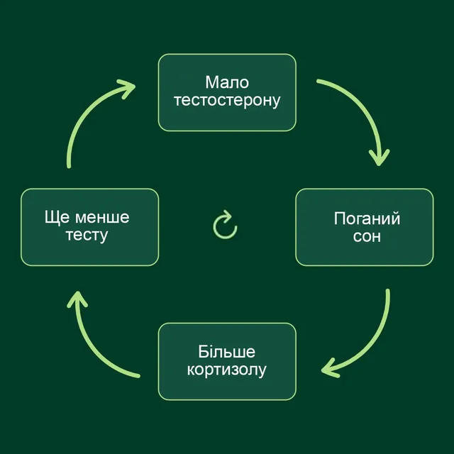 Цикл падіння тестостерону